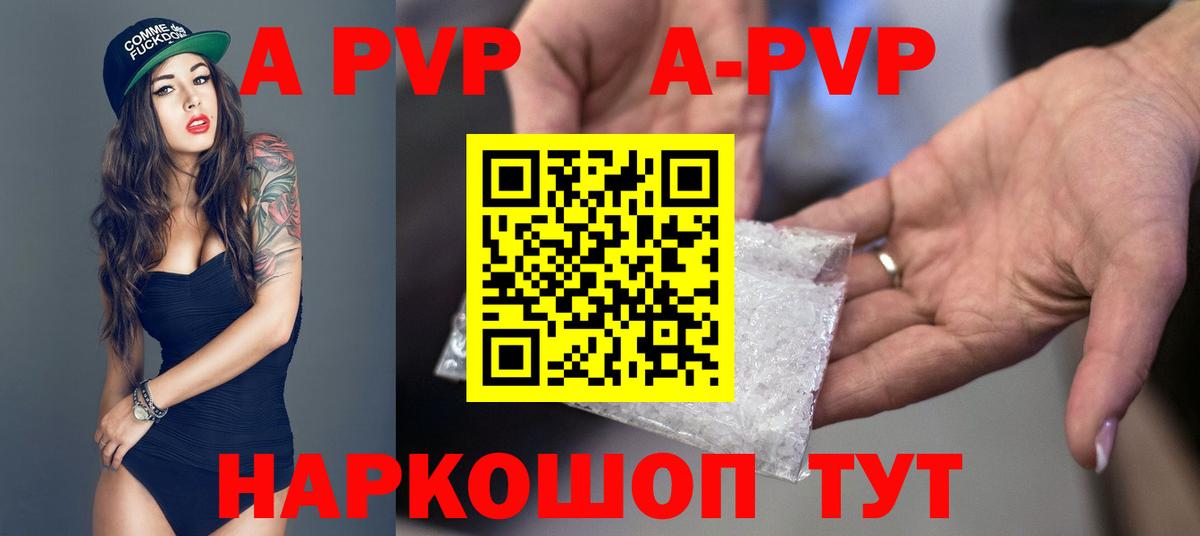 A-PVP СК КРИС Шали