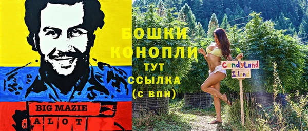 apvp Магадан