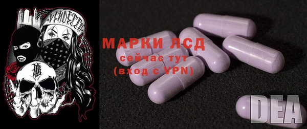 apvp Магадан