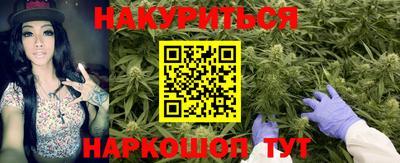 гашик Можга