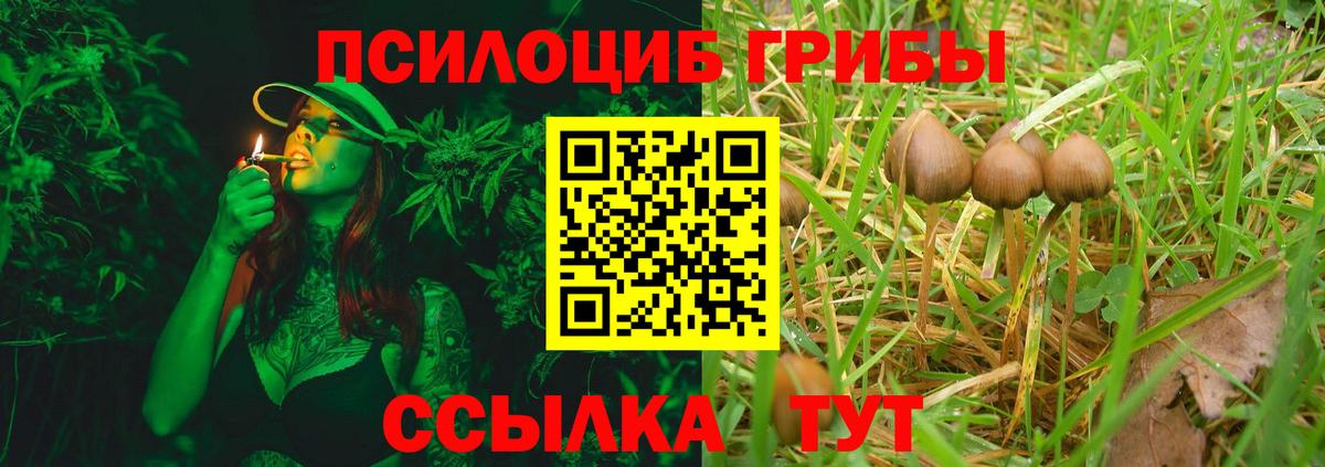 Псилоцибиновые грибы MAGIC MUSHROOMS  Вход с VPN  Шали 