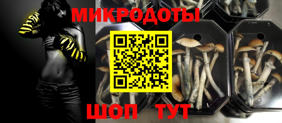 Псилоцибиновые грибы Psilocybe Шали