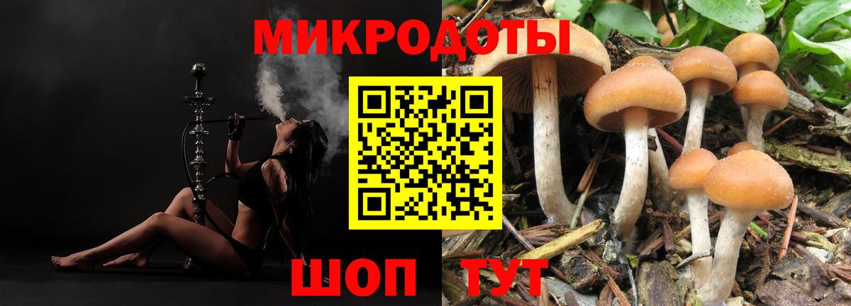 что такое   Шали  Галлюциногенные грибы Magic Shrooms 