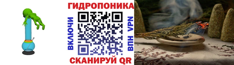 Марихуана OG Kush Шали